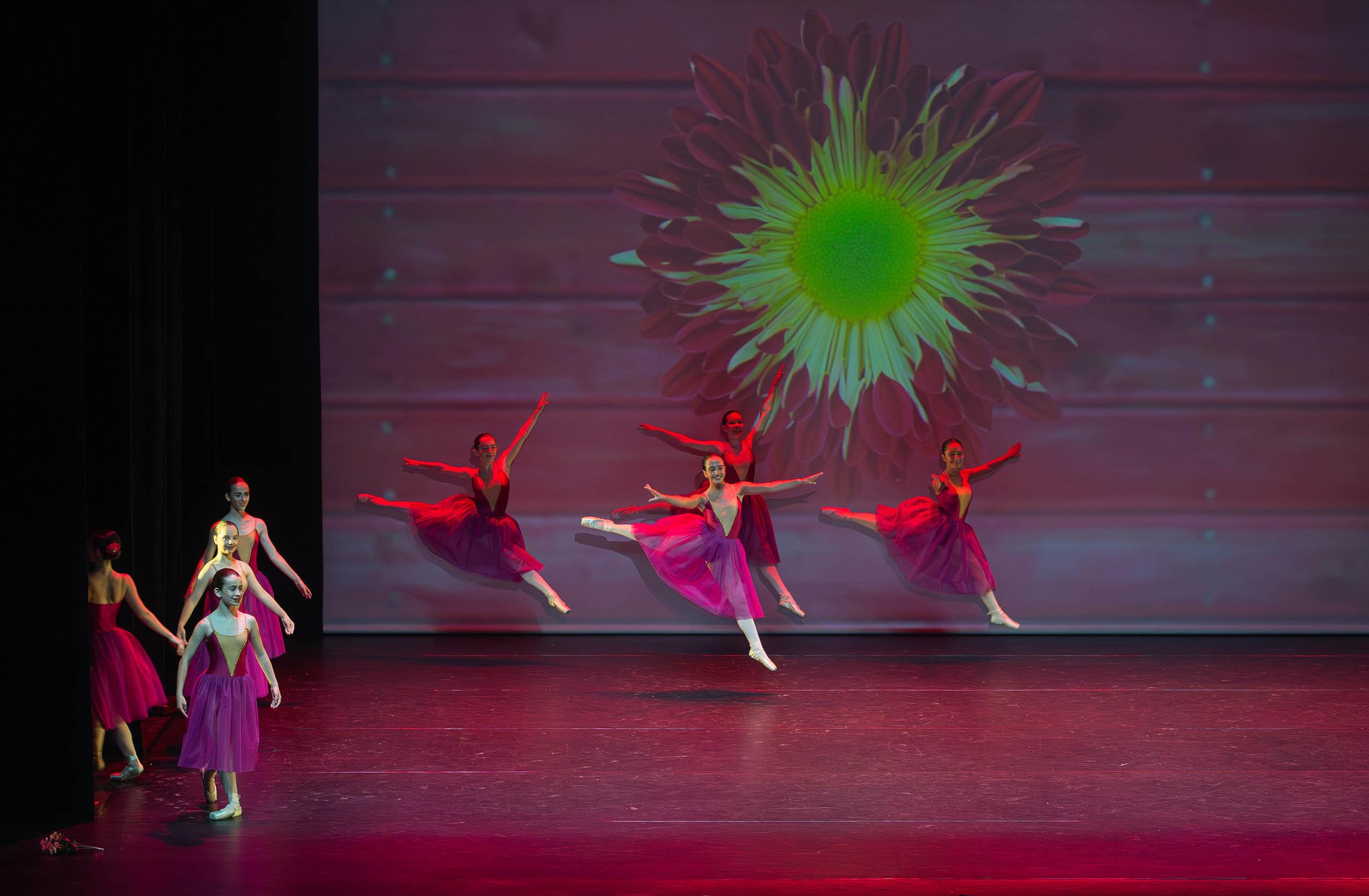 Escuela Ballet Anne Markoartu. Contemporáneo